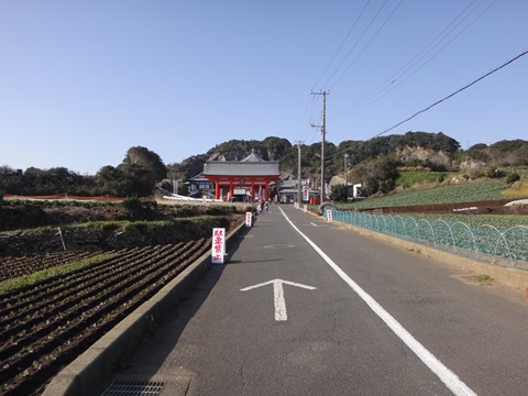 DSC03024.JPG