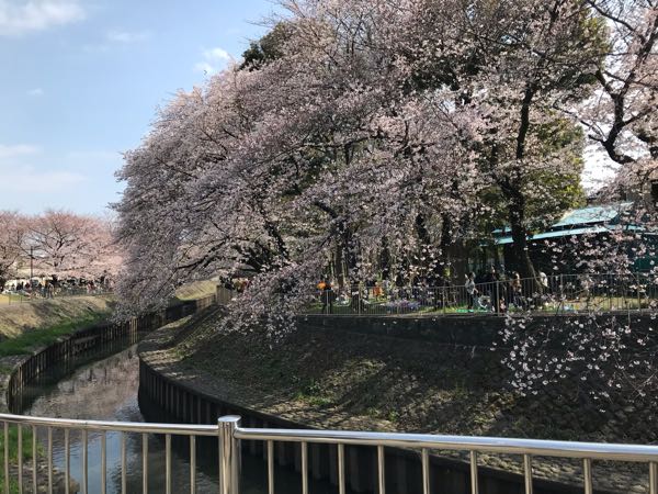 rblog-20190331200607-01.jpg