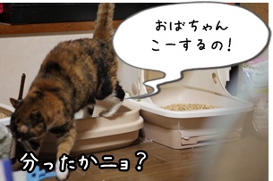 画像 366.jpg