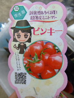 DSCF2174.jpg