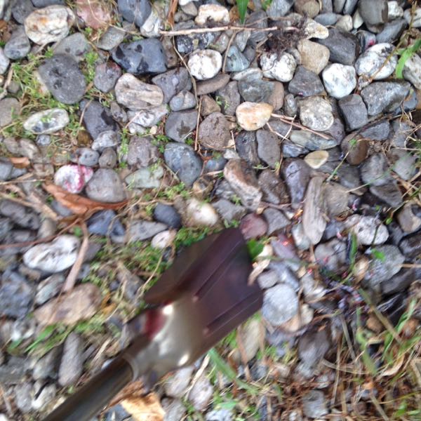 rblog-20170728151224-02.jpg