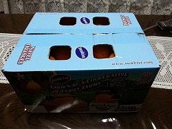 ネーブルオレンジ