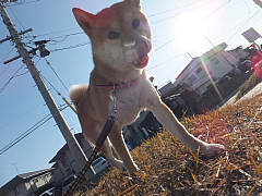 conv0015.JPG