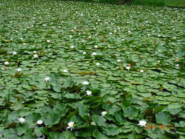 DSC04106_R.JPG