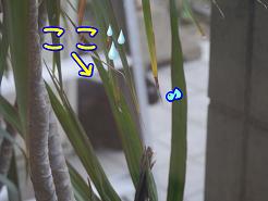 ここ.JPG
