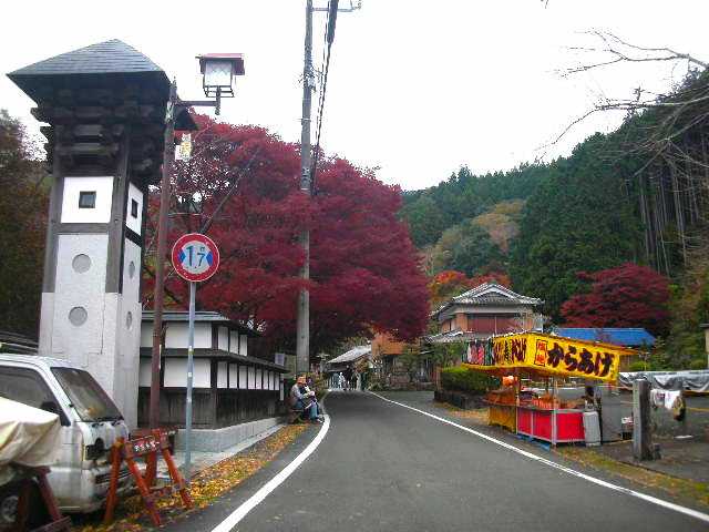 紅葉の鳳来寺山参道とパークウェイ | 週末サイクリングマニア - 楽天ブログ
