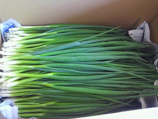 2012040415410000.jpg