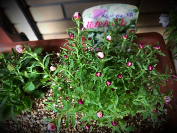 rblog-20161231162457-09.jpg