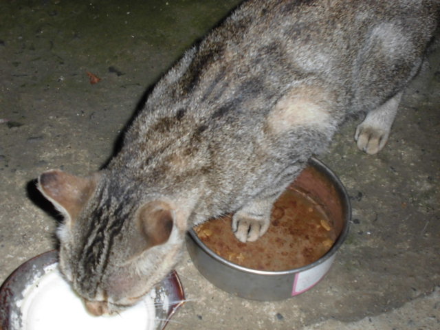 CIMG0398.JPG