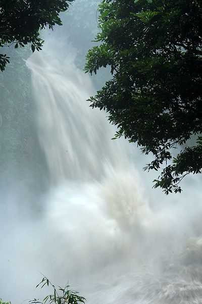 五月雨を集めて早し数鹿流ヶ滝 元ペンションダイアリーブログ 熊本地震被災から全録 あの日がなければ 楽天ブログ