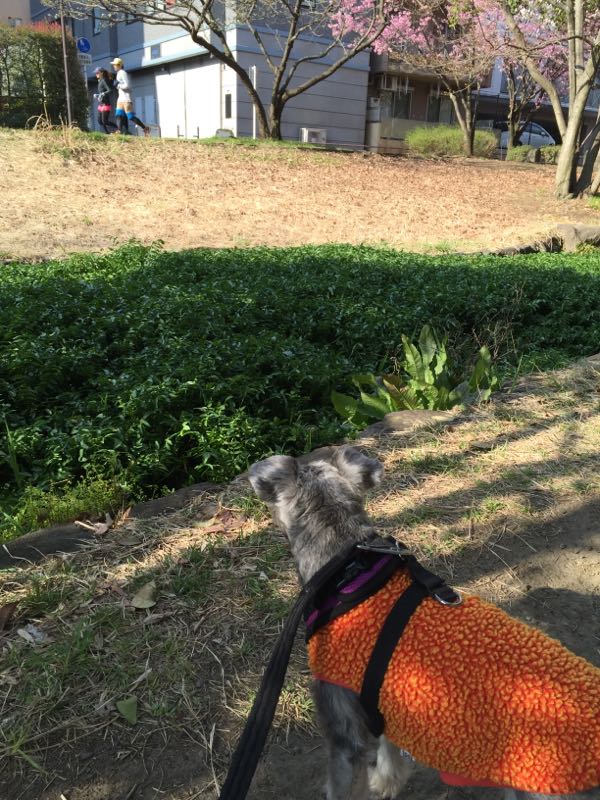 rblog-20160328060458-02.jpg
