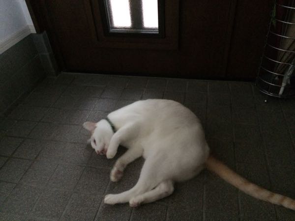 rblog-20151009062646-03.jpg