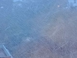 DSC01123.jpg
