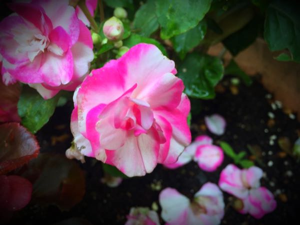 rblog-20160531194557-07.jpg