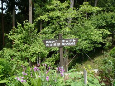 高山２