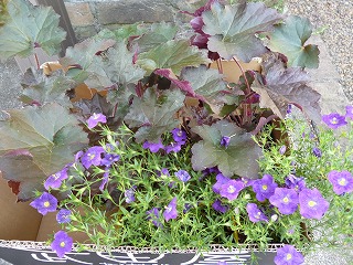 P1060484ss.jpg