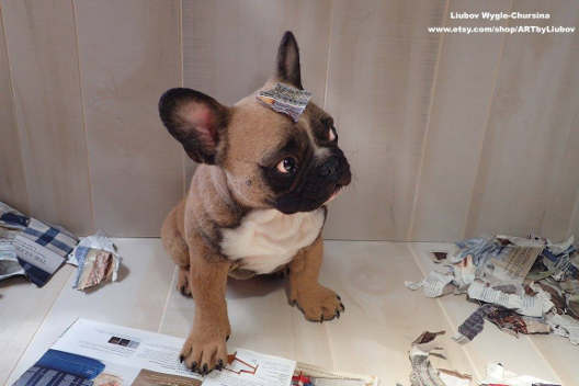 Liubov Wygle-Chursina French Bulldog