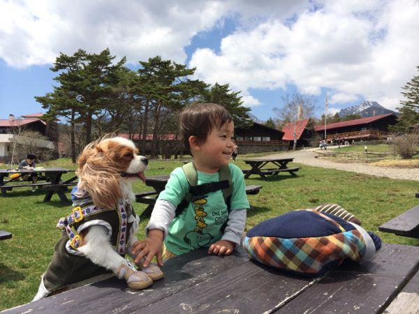rblog-20140502213720-00.jpg