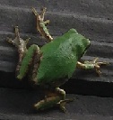 IMG_3666 1.jpg