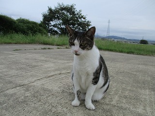 IMG_9333ss.jpg