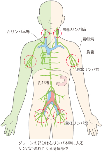 リンパマッサージをしてむくみとさようなら ヾ Byebye 本当の美しさを求めてーかぐや治療院 楽天ブログ