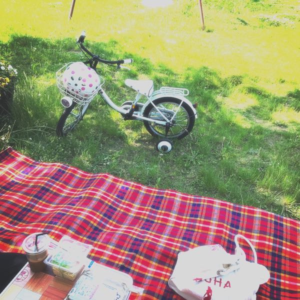 rblog-20170530161311-05.jpg