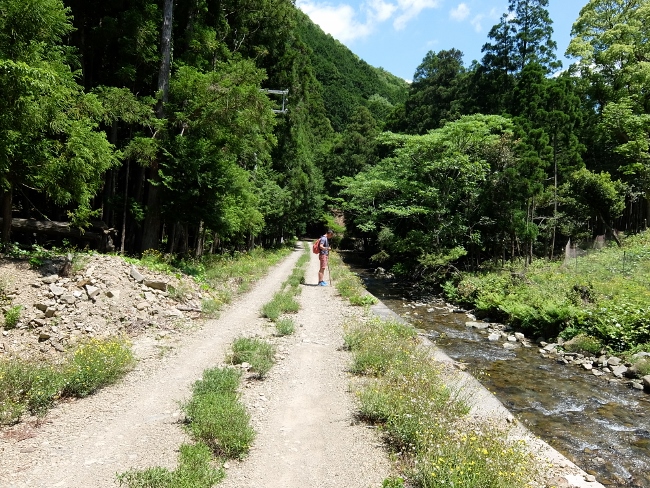 熊野古道　富田坂　世界遺産