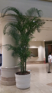 rblog-20130816103332-01.png