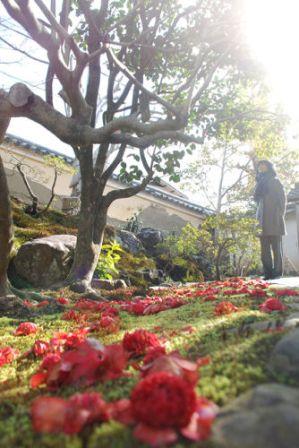 20160402-霊鑑寺.jpg