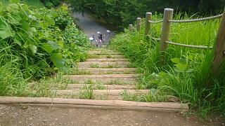 丸墓山古墳の階段４