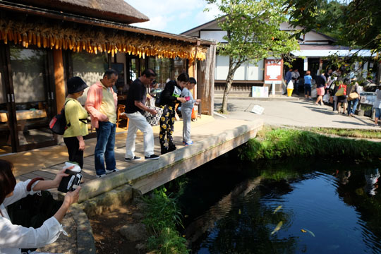 DSCF9245.jpg