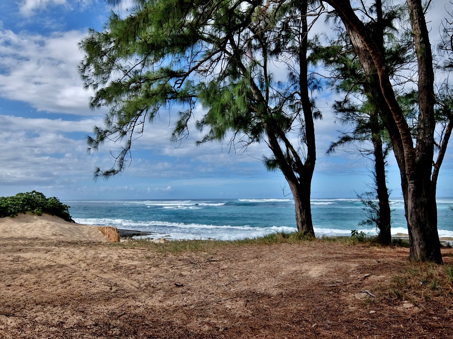 ハワイ ゴルフ タートル ベイ リゾート TURTLE BAY RESORT アーノルド パーマーコース クイリマ