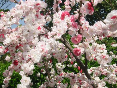 104-0430_IMG.jpg