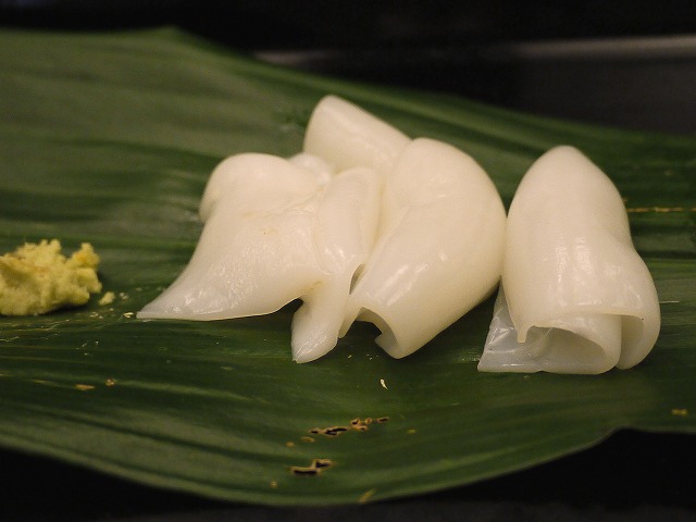 P1180719.jpg