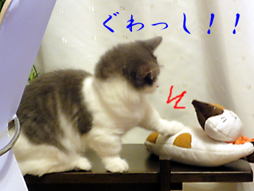mumu7.jpg