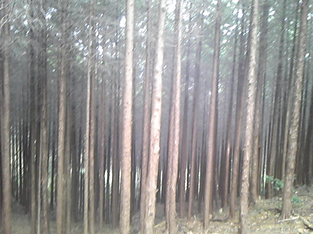 130106_130840.jpg