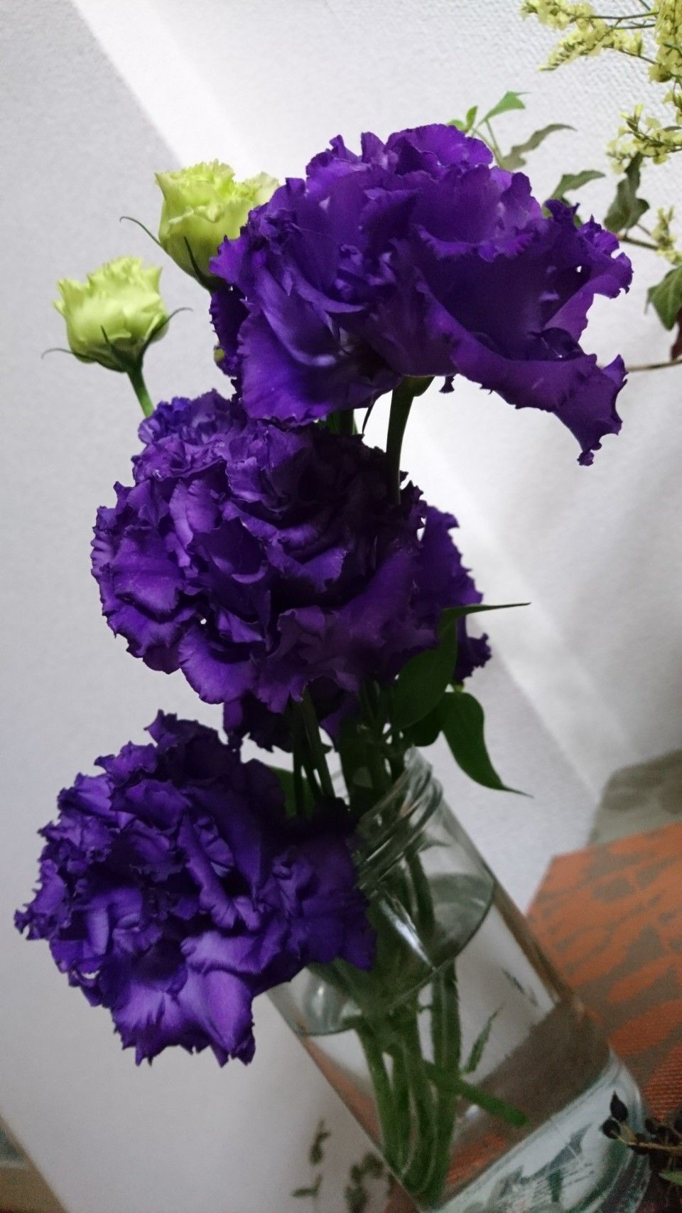 紫のトルコキキョウ プリン 楽天ブログ
