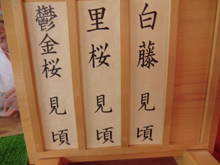 京都　平安神宮4