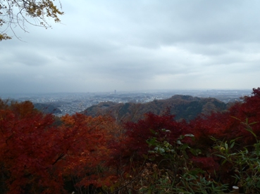 高５