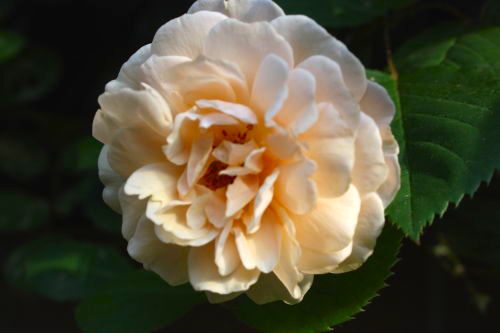 2015051906.jpg