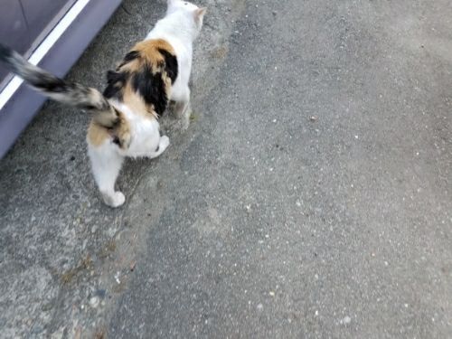 rblog-20180728221049-01.jpg