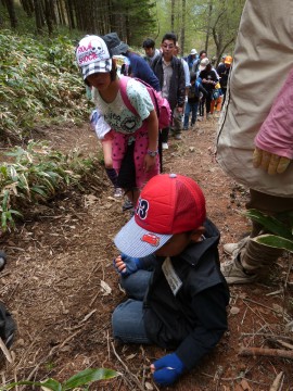 入笠山登山120602-1