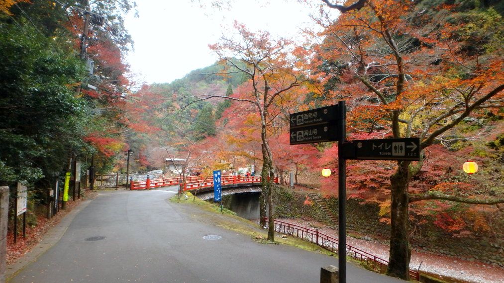 京都 紅葉 見納め紀行 15 神護寺 から 高山寺 楽天版じぶん更新日記 楽天ブログ