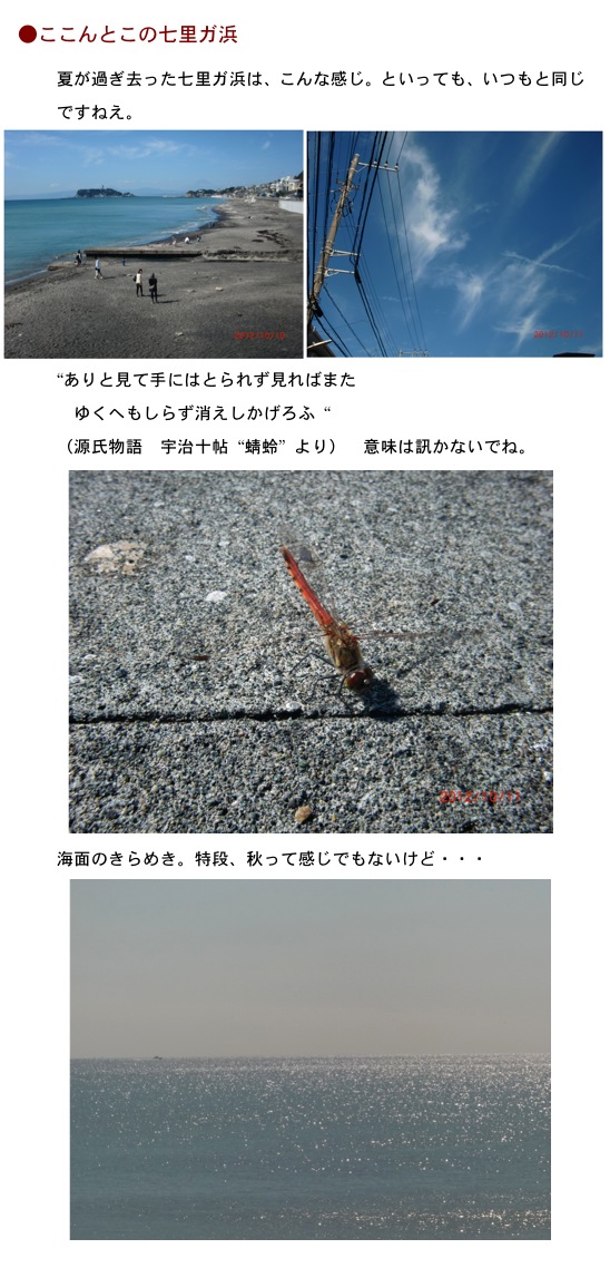 2012.10.12-4.jpg