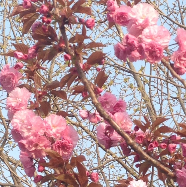 rblog-20140511144258-02.jpg