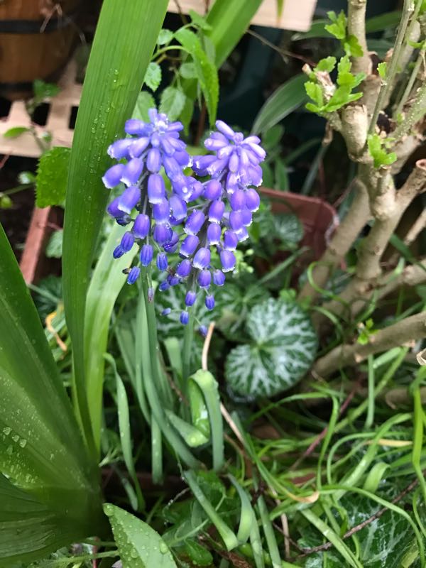 rblog-20190419193912-04.jpg