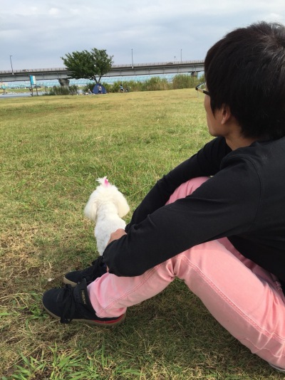 謹賀新年