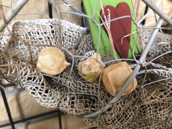 rblog-20181203161408-03.jpg