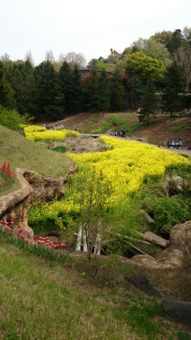rblog-20140413171653-00.jpg