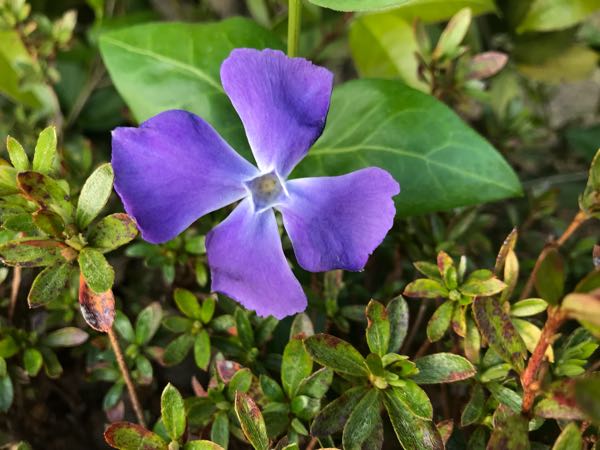 rblog-20180408182420-00.jpg